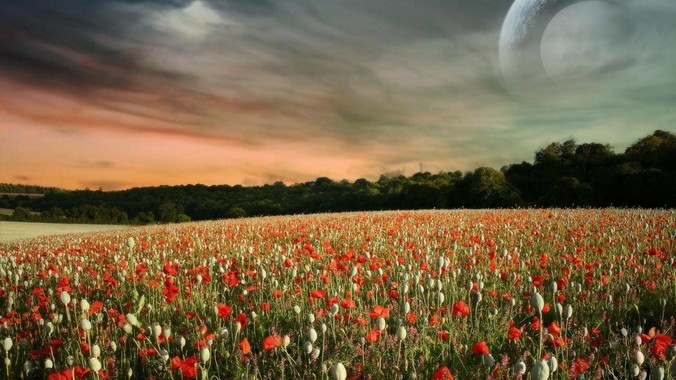 请各位大神给鱼缸过滤系统一点建议，感觉进水口的吸力不够，花篮还总停止转动。?